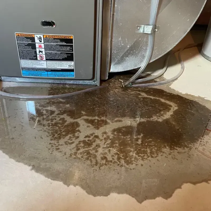 Appliance Leak Cleanup in Washington County, MD